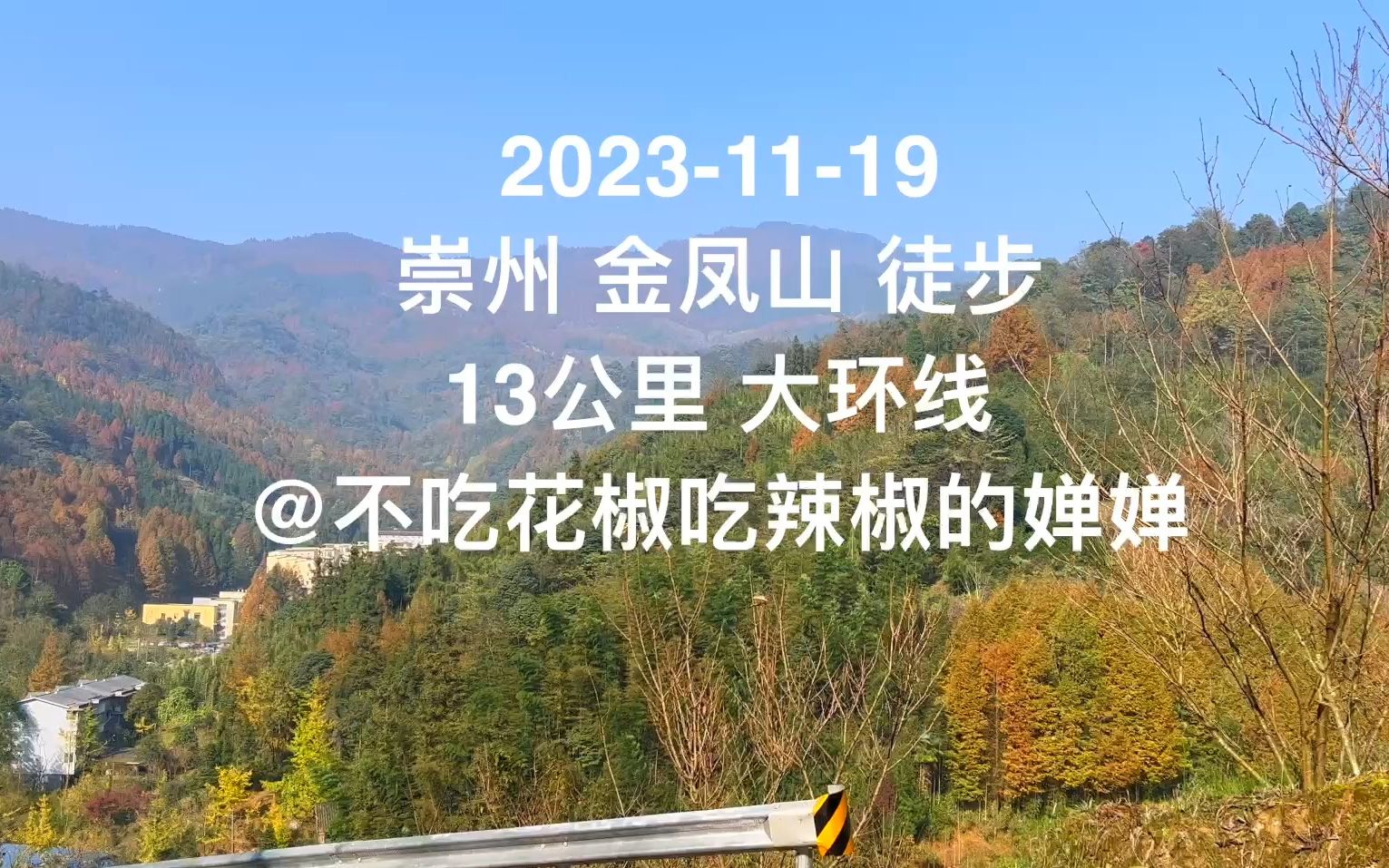 【徒步】成都周末攻略:崇州金凤山徒步,十三公里秋季彩林大环线.哔哩哔哩bilibili