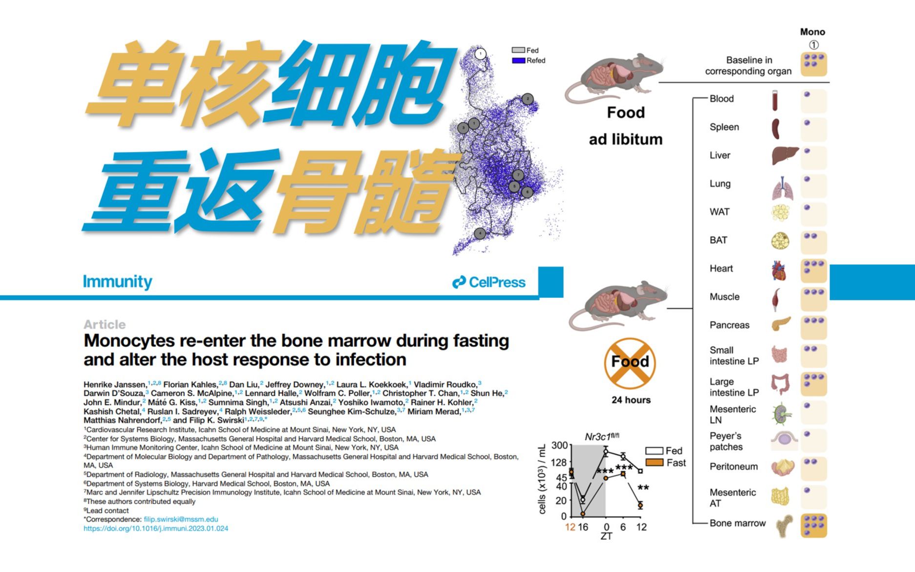 【文献速递】新知30 单核细胞告诉你 再不吃早饭 我可就回骨髓里啦!哔哩哔哩bilibili