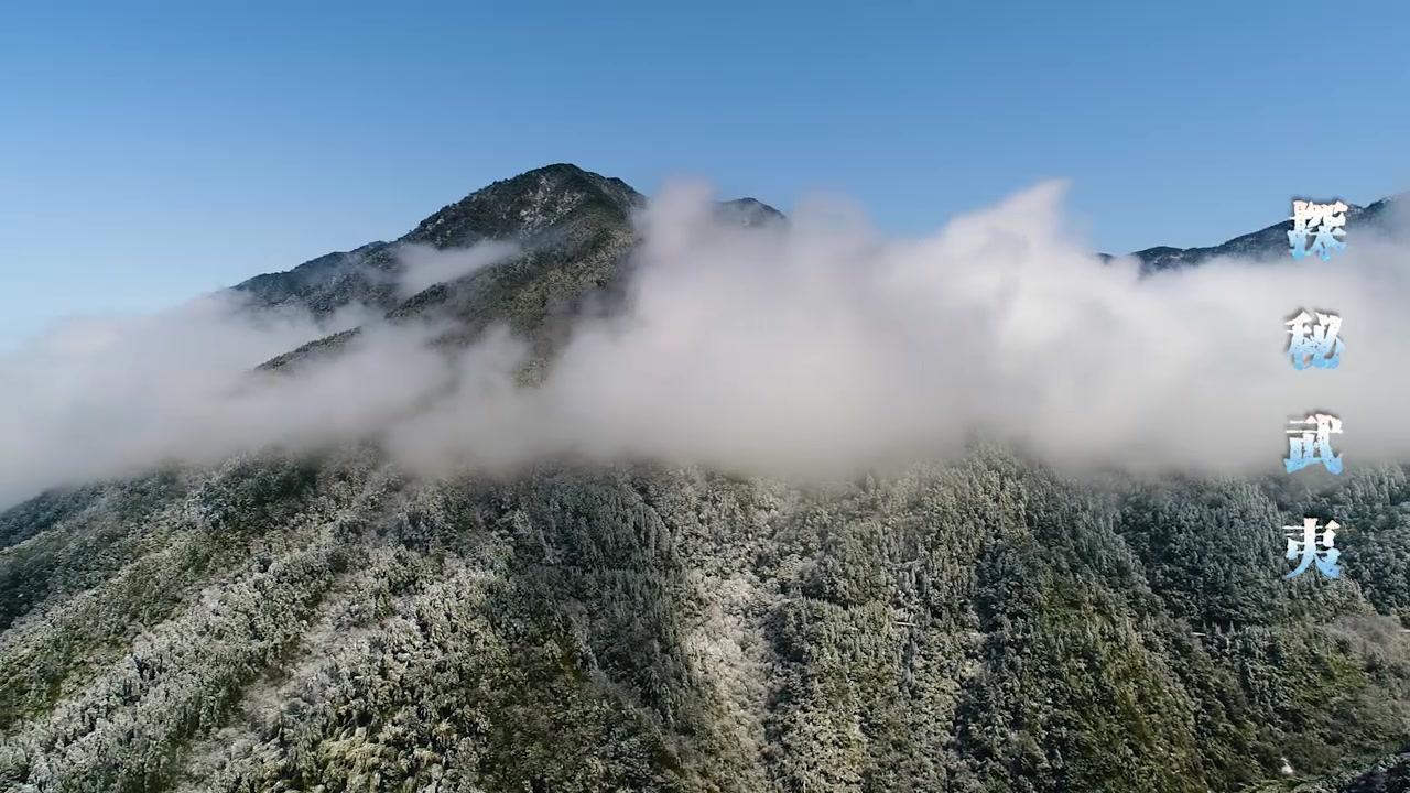 [图]【纪录片】探秘你所不知道的武夷山