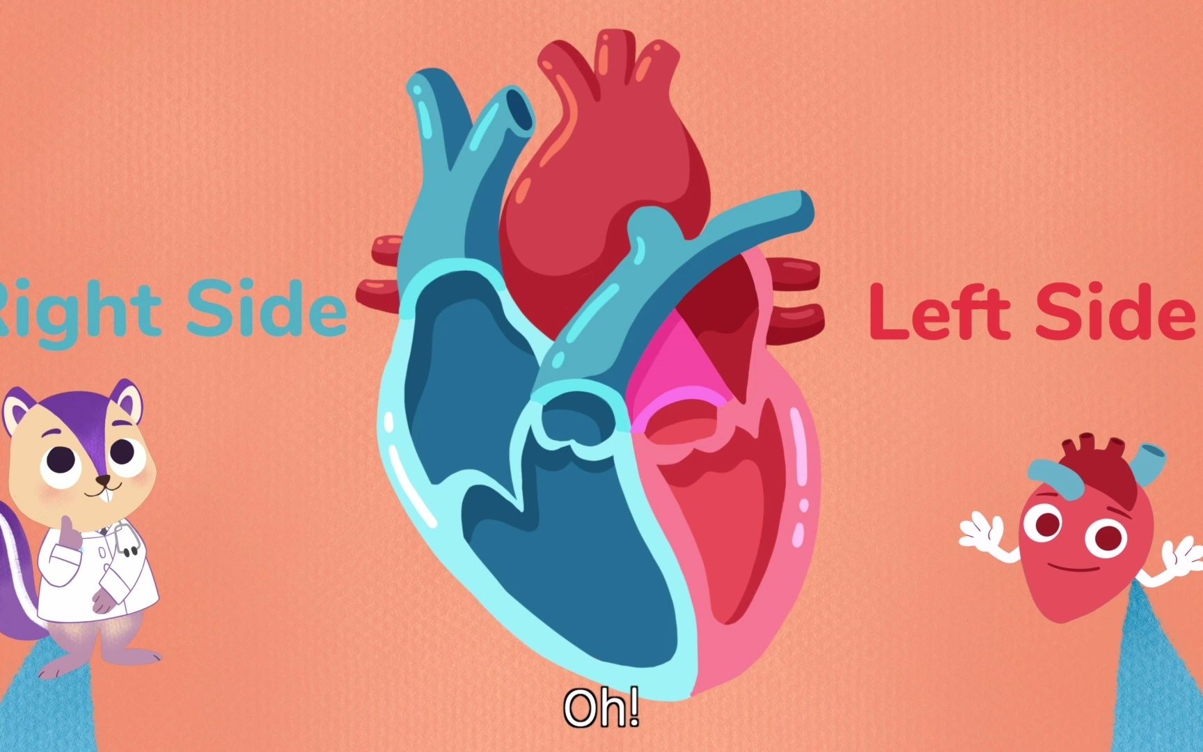 [图]Biology _ 'How Does the Heart Work' Explained _ Human Body