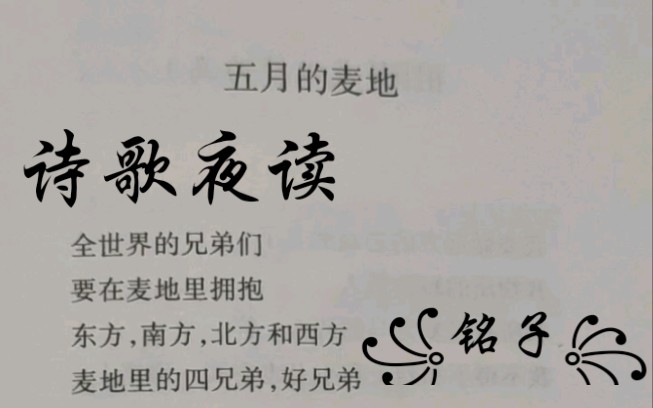 70铭子71诗歌夜读海子五月的麦地