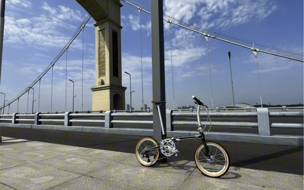 风行折叠自行车fgd1618蚂蚁腿碟刹版 尺码349