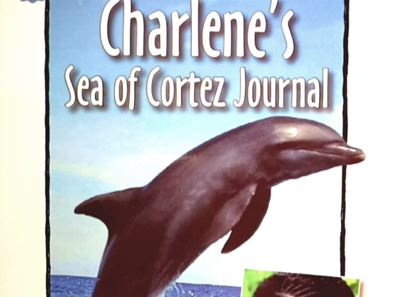 英语分级阅读 RAZ R20 Charlene's Sea of Cortez Journal哔哩哔哩bilibili