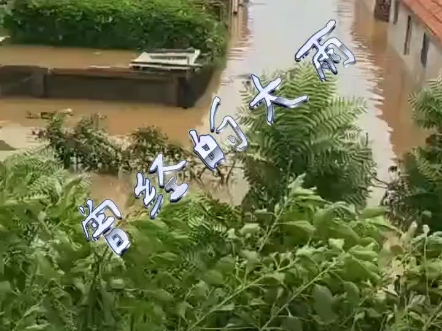 回想之前的大雨,心有余悸哔哩哔哩bilibili