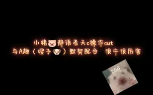 Скачать видео: [斗鱼blue]  小猪鹅鸭杀静语者天c操作cut   很牛很厉害