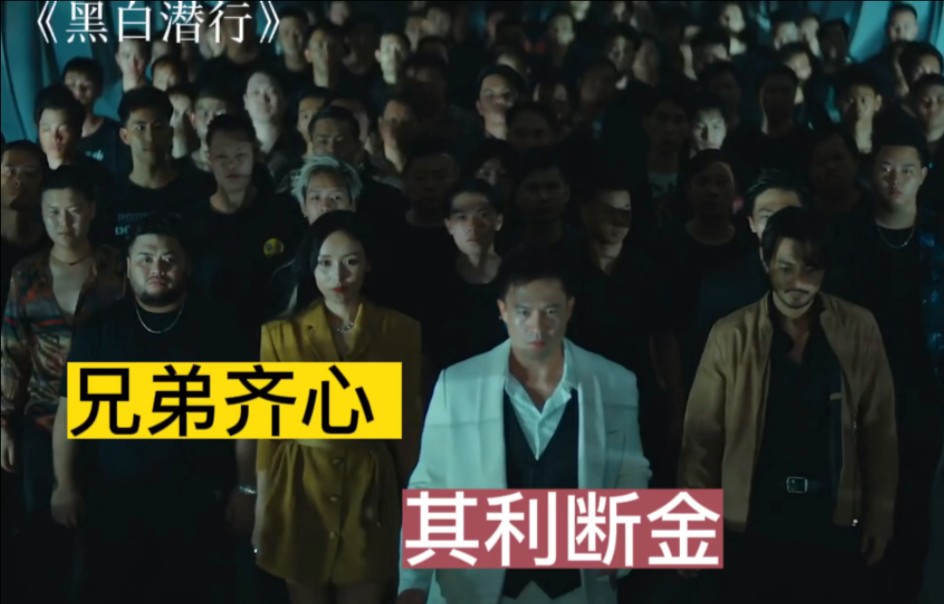 2024最新动作犯罪爽片,猛男安志杰在次上演,场面刺激!港式黑吃黑#影视哔哩哔哩bilibili