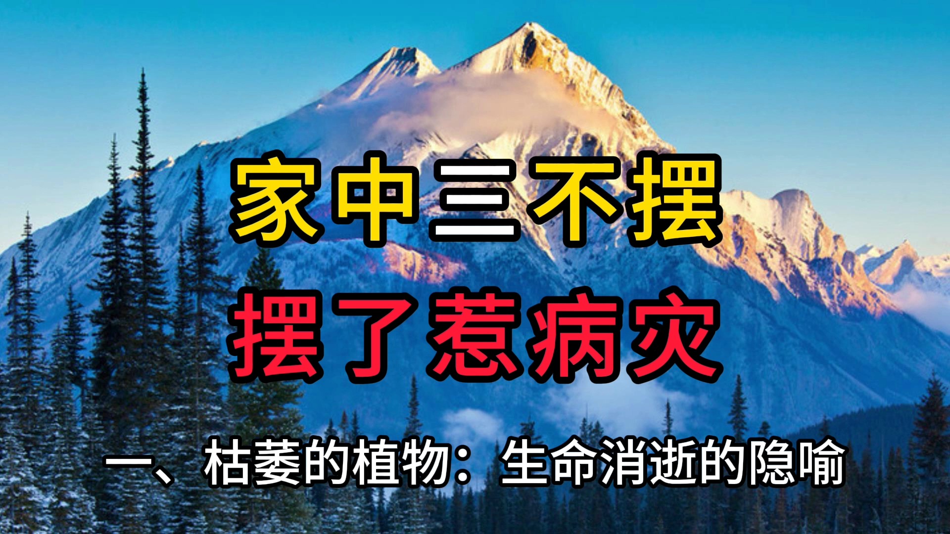 家中三不摆,摆了惹病灾,这3种东西不要摆在家,不是迷信哔哩哔哩bilibili