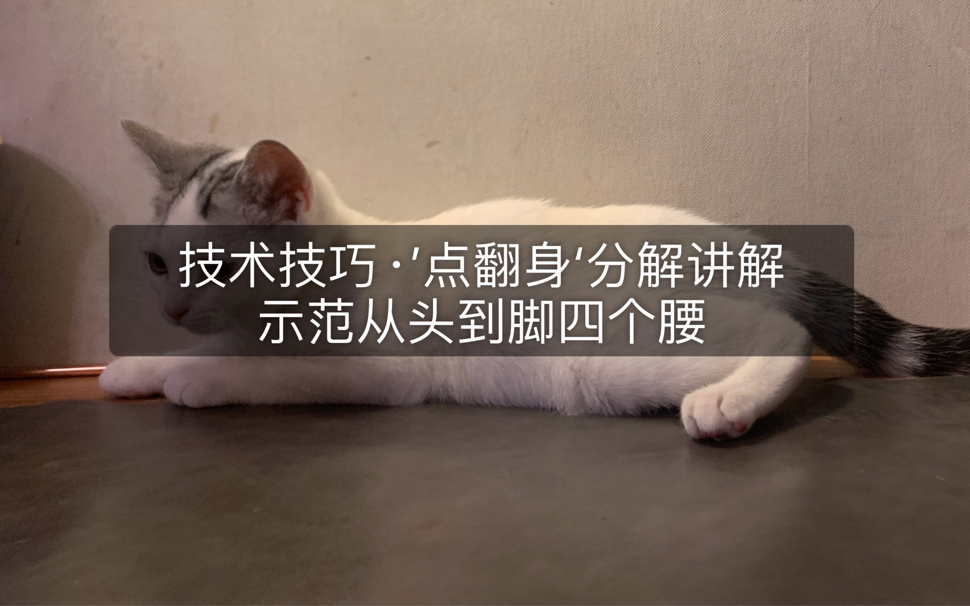 三金讲解古典舞技术技巧点翻身