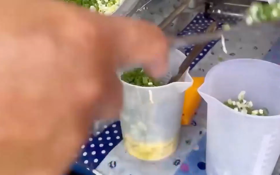 冬日必备·美食御寒季:街头小吃豪华版烤鸟蛋5颗一串一串卖12元每天能