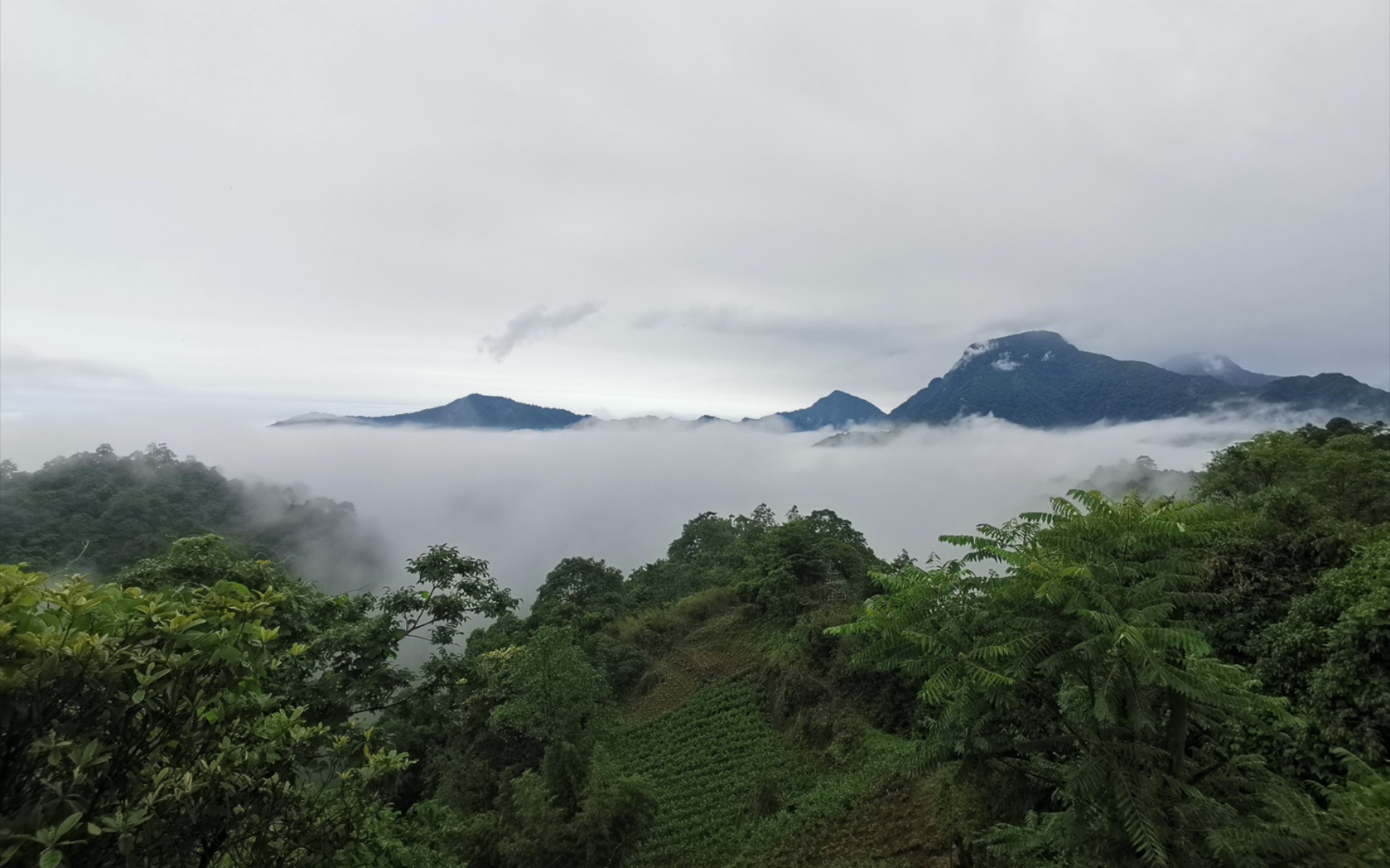 【青城后山】看到山顶美景,才感觉爬山4h值了!哔哩哔哩bilibili