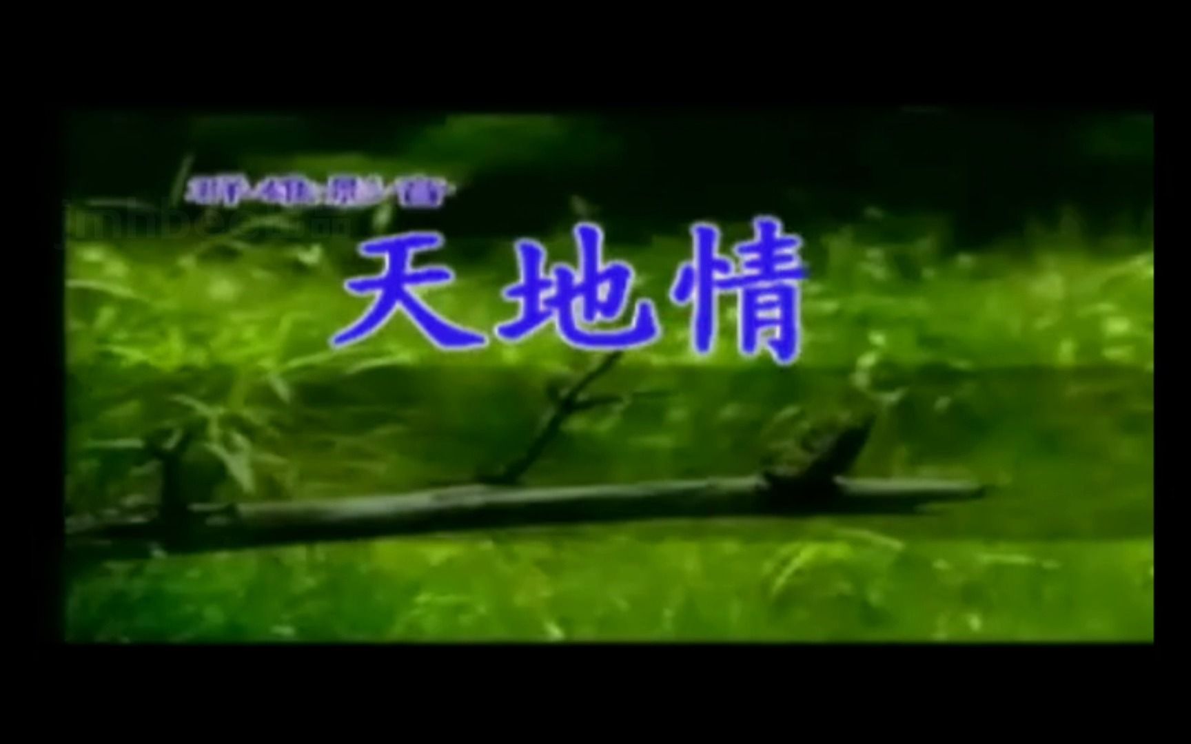 《天地情》经典歌曲MV  一代香港歌王蔡国权哔哩哔哩bilibili