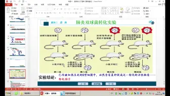 20200326-核酸是遗传物质的证据2