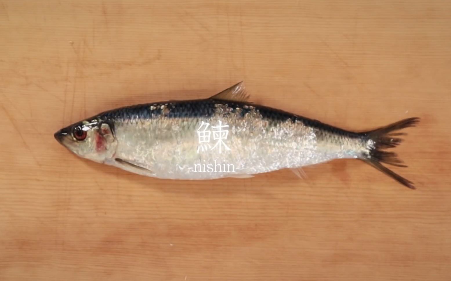 日本刺身料理——鰊鱼刺身的处理刀法