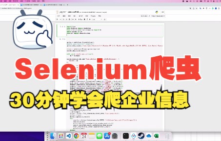 30分钟学会Python Selenium爬虫爬取公司信息哔哩哔哩bilibili