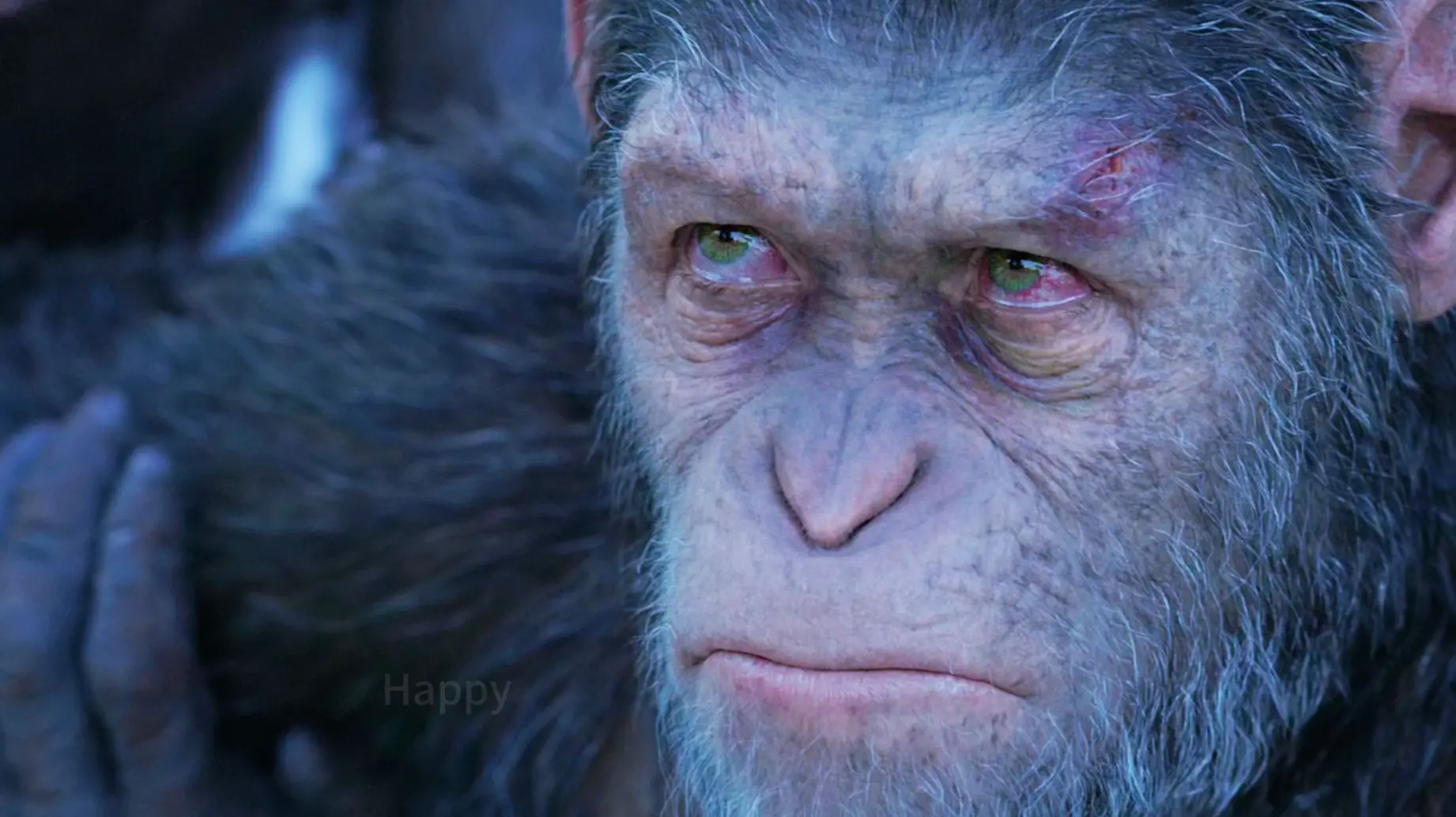 猩球崛起2 - Top 50件猩球崛起2 - 2025年11月更新- Taobao, image size:1842x1034