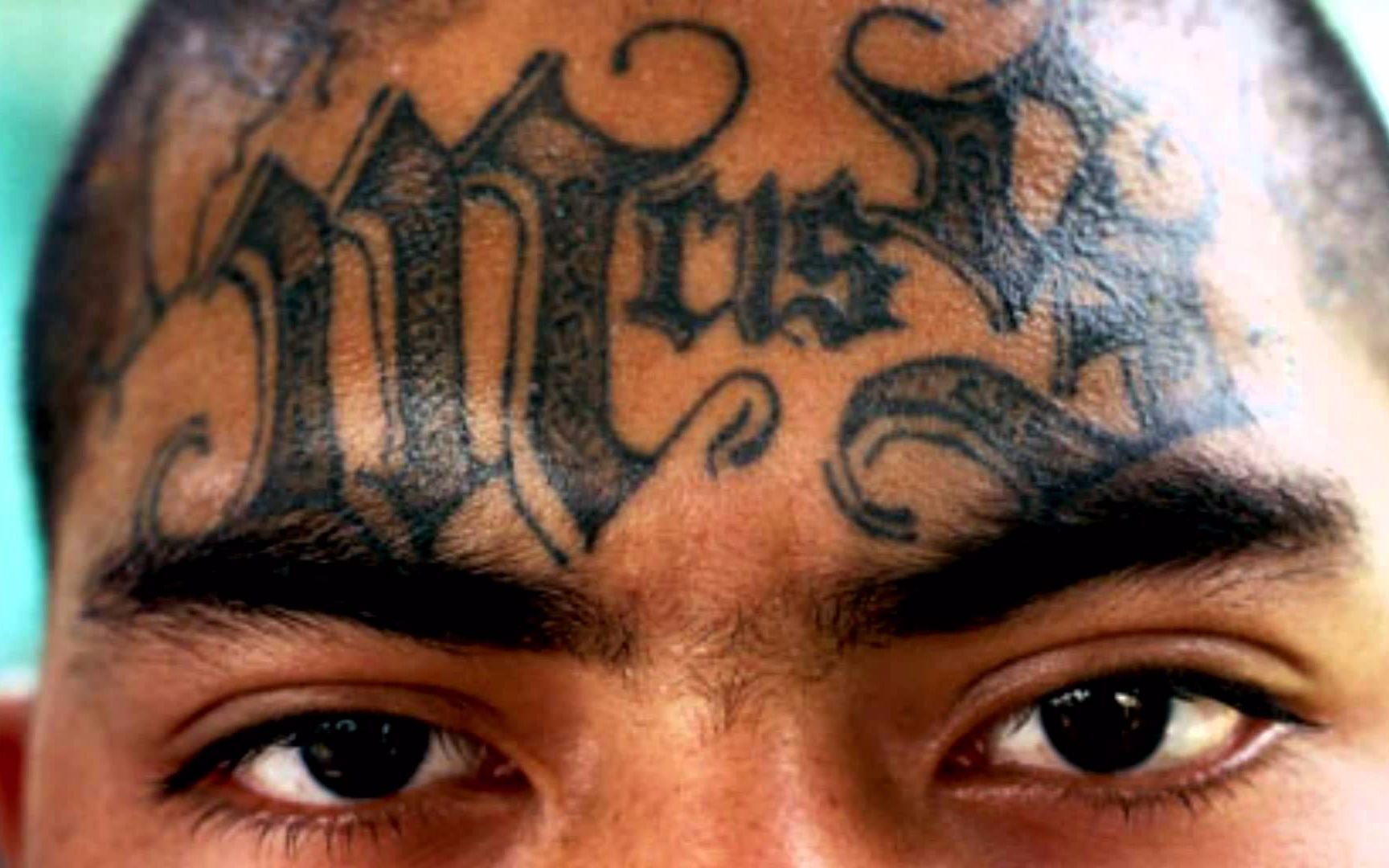 全世界约50万成员的ms-13,美国唯一的跨国黑帮组织