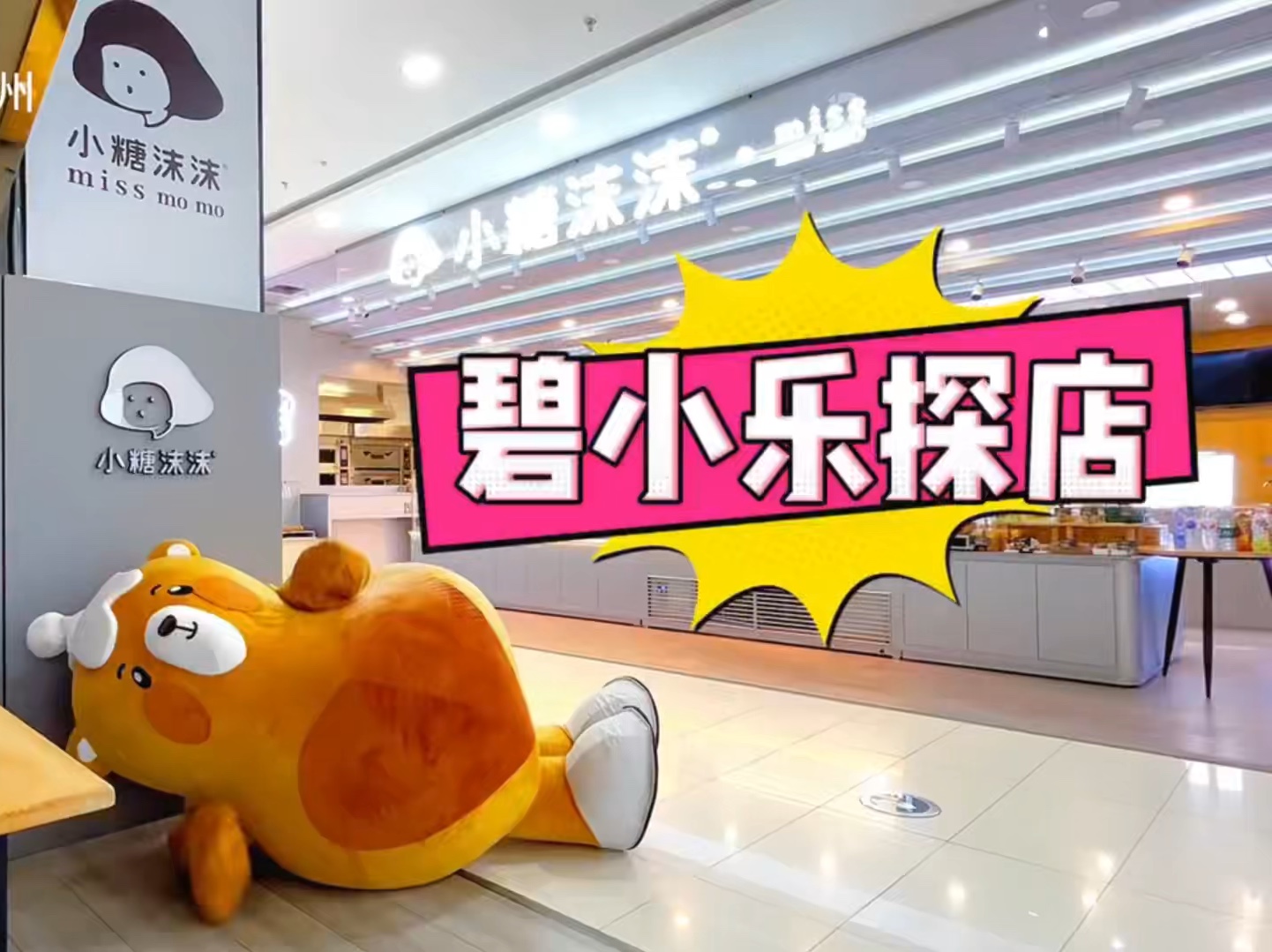 78小糖沫沫 | 碧小乐探店日常 ┆我与5304面包055304有个
