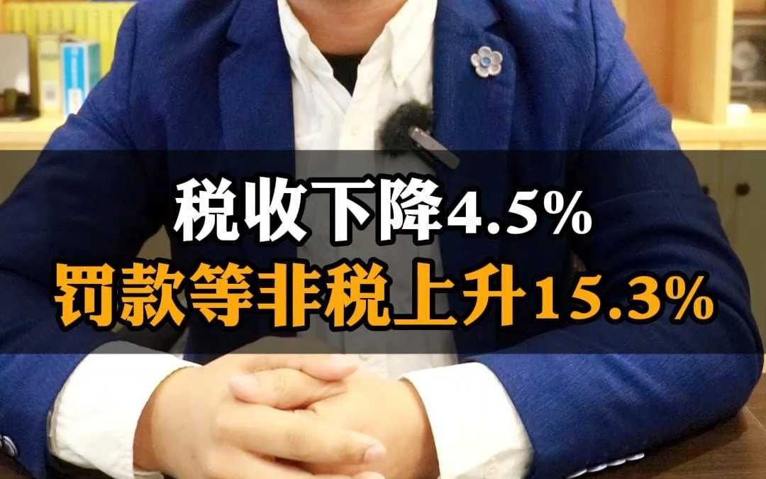 税收下降4.5%,罚款等非税上升15.3%.哔哩哔哩bilibili