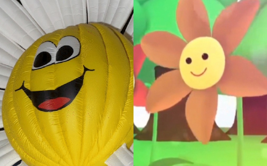 有没有懂同款大呲花的