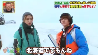 個人中字 坂上動物王國高橋二人組的北海道拍動物之旅cut 高橋海人 高橋優斗 哔哩哔哩 Bilibili