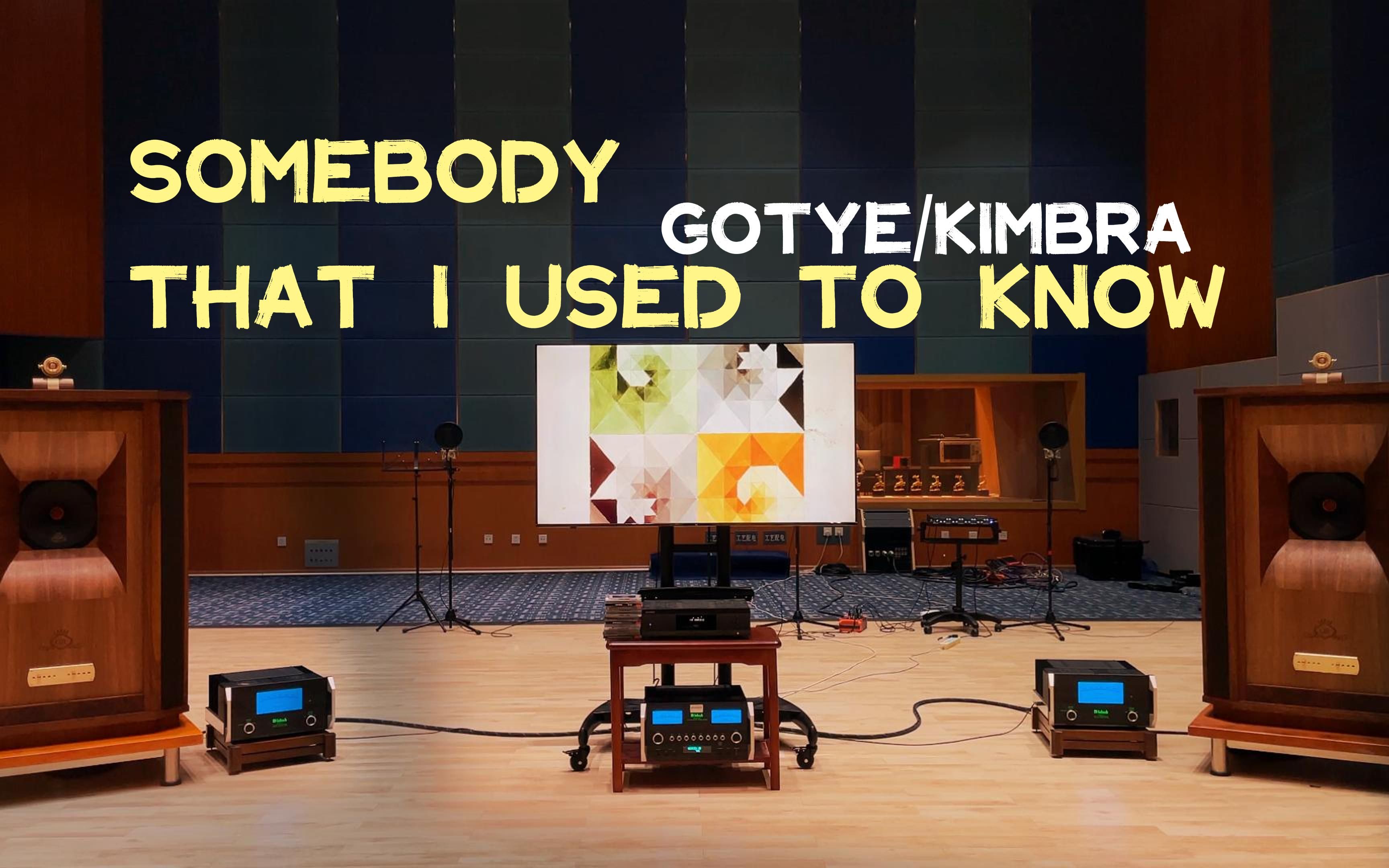 [图]百万级装备听《Somebody That I Used To Know》- Gotye/Kimbra【Hi-Res】