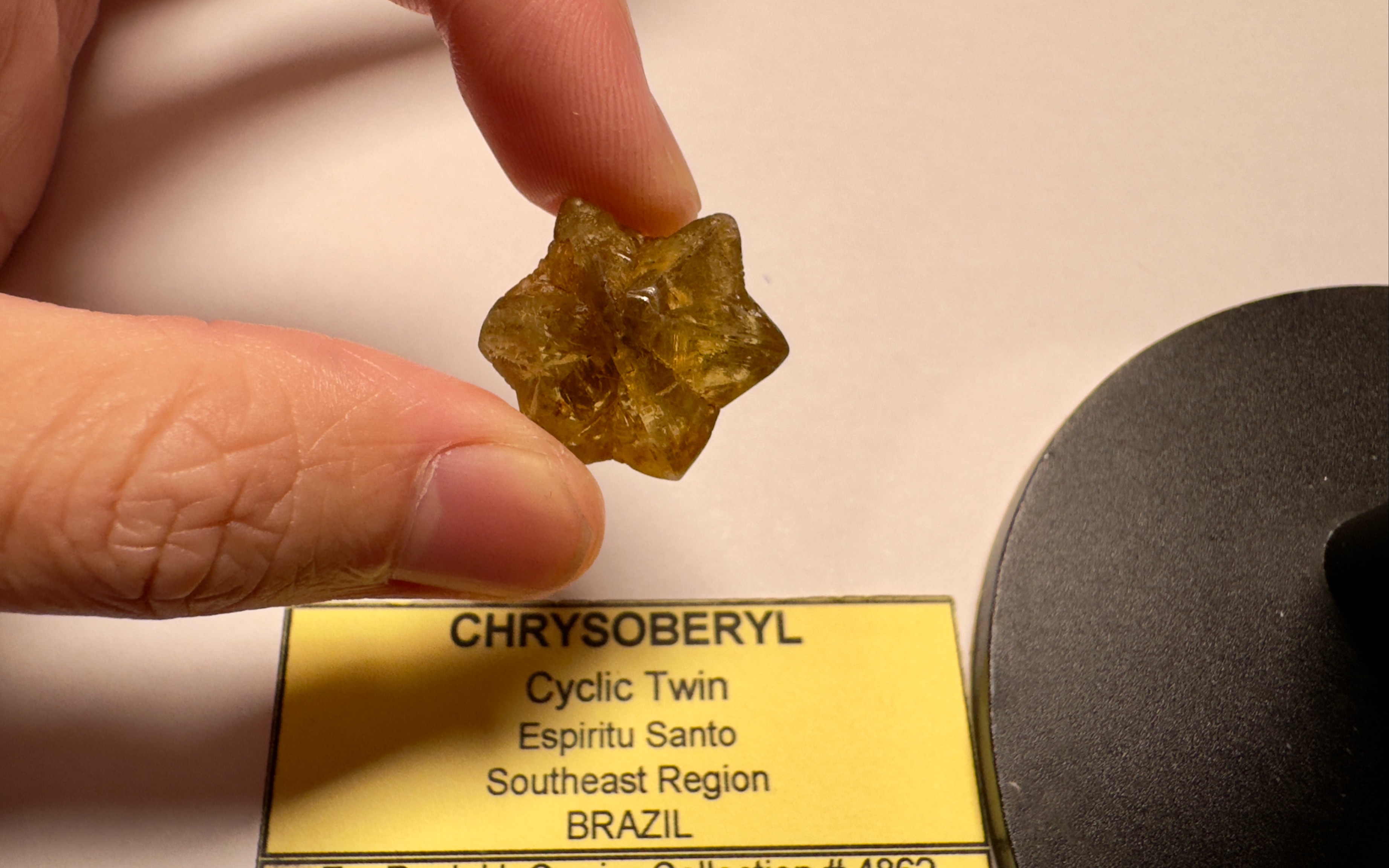 【矿物开箱】 真正的世界级 全完整巴西金绿宝石轮式双晶 (Chrysoberyl, cyclic twin)|永不凋谢的六芒星矿石花哔哩哔哩bilibili