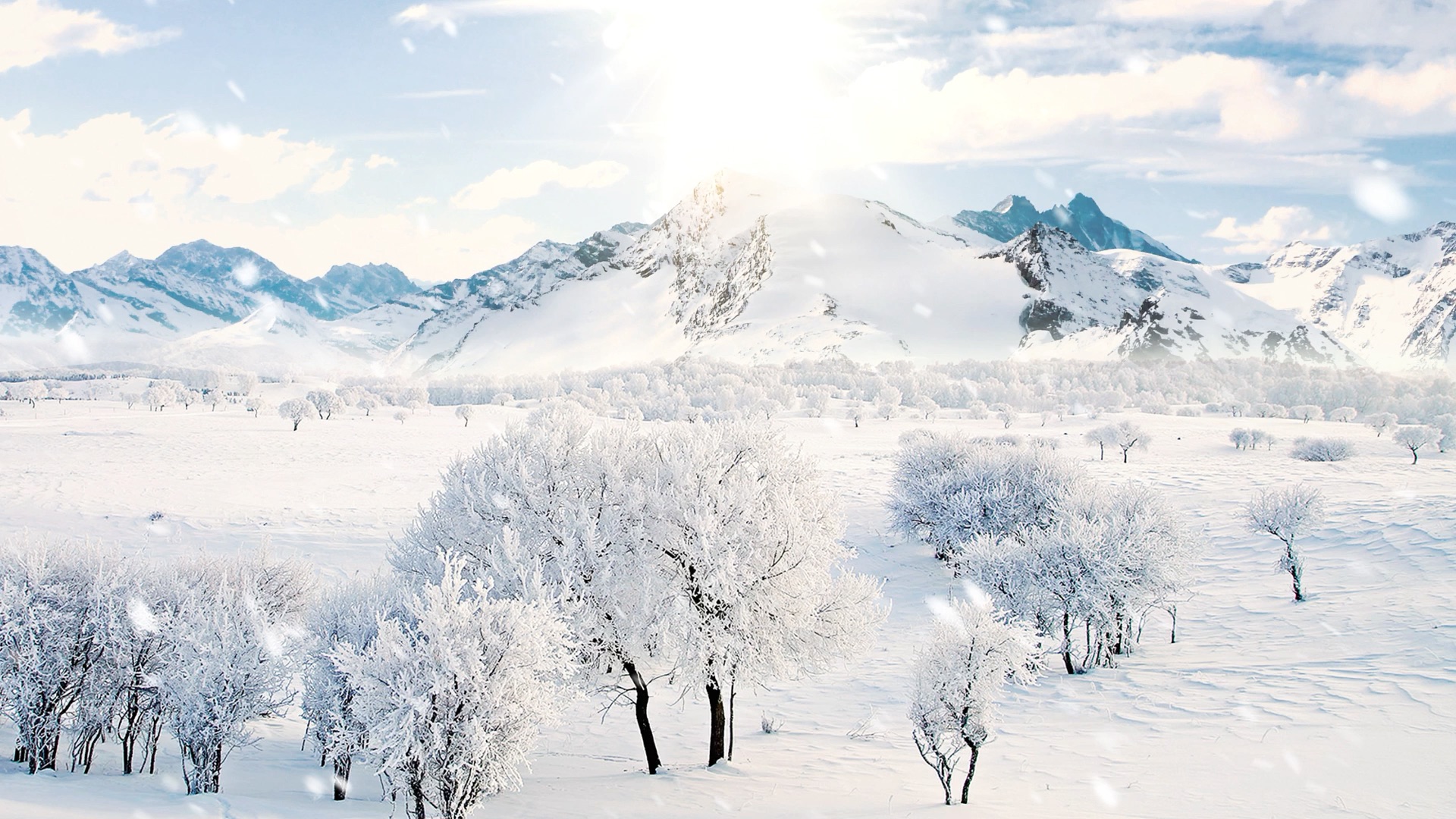 [图]冬日暖阳下的雪景