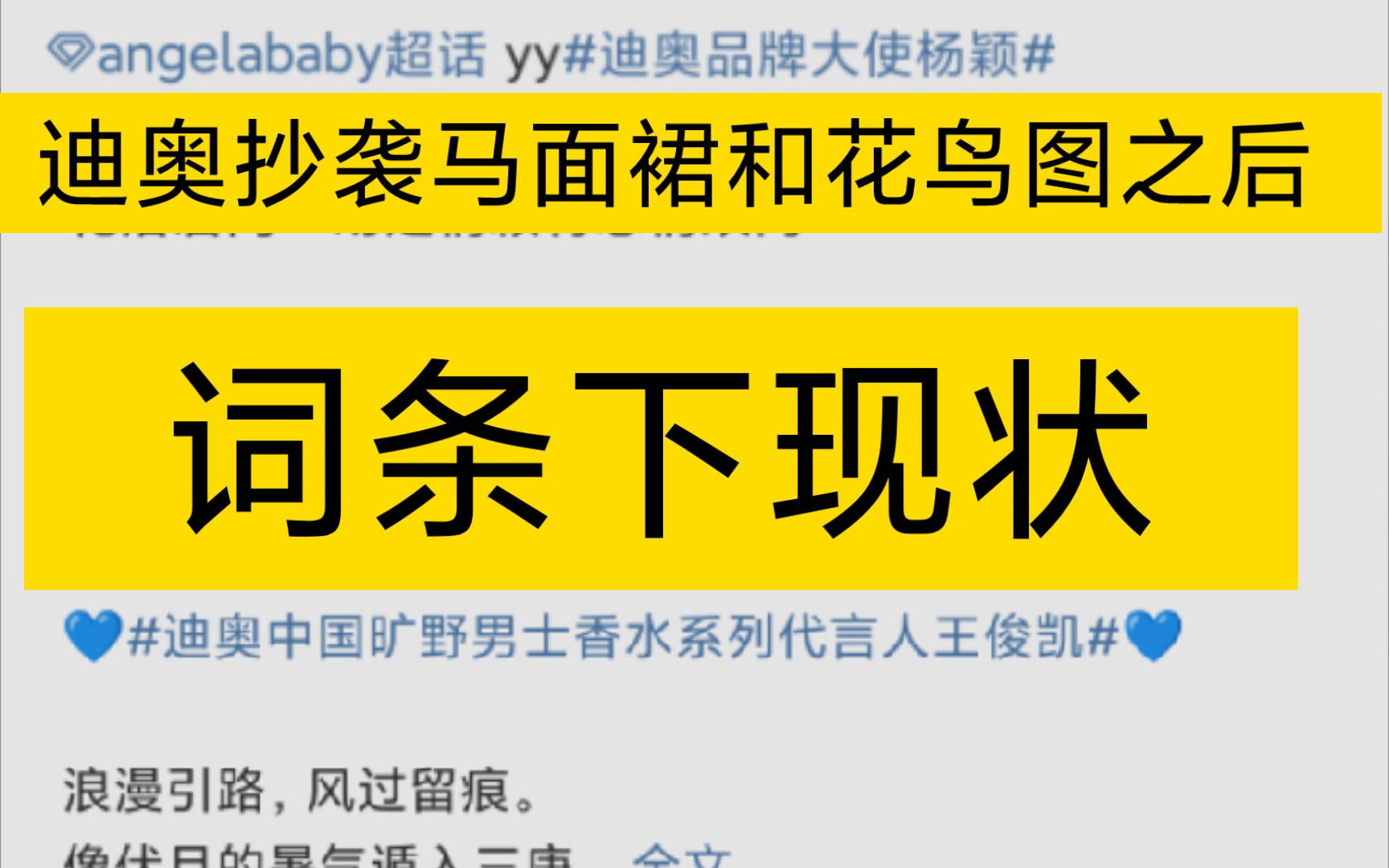 迪奥抄袭马面裙和花鸟图之后.依然有明星粉丝,在迪奥的词条下给哥哥姐姐刷热度.哔哩哔哩bilibili