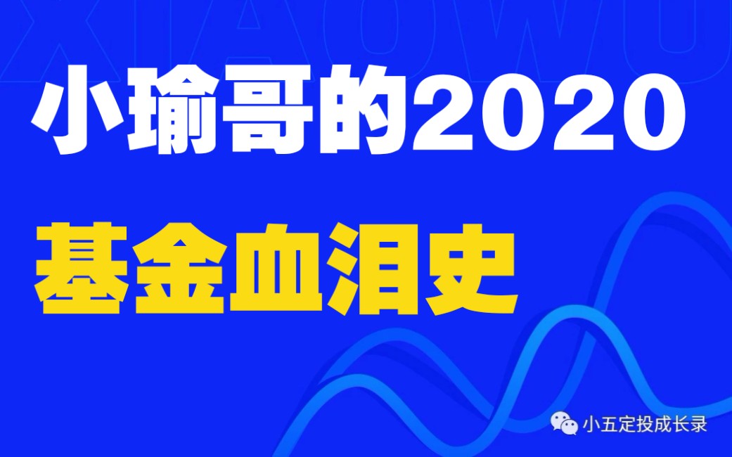 小瑜哥的2020基金血泪史!珍藏~哔哩哔哩bilibili