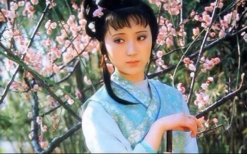 【半音阶口琴】葬花吟(87版电视剧《红楼梦》插曲)_哔哩哔哩 (゜-゜)