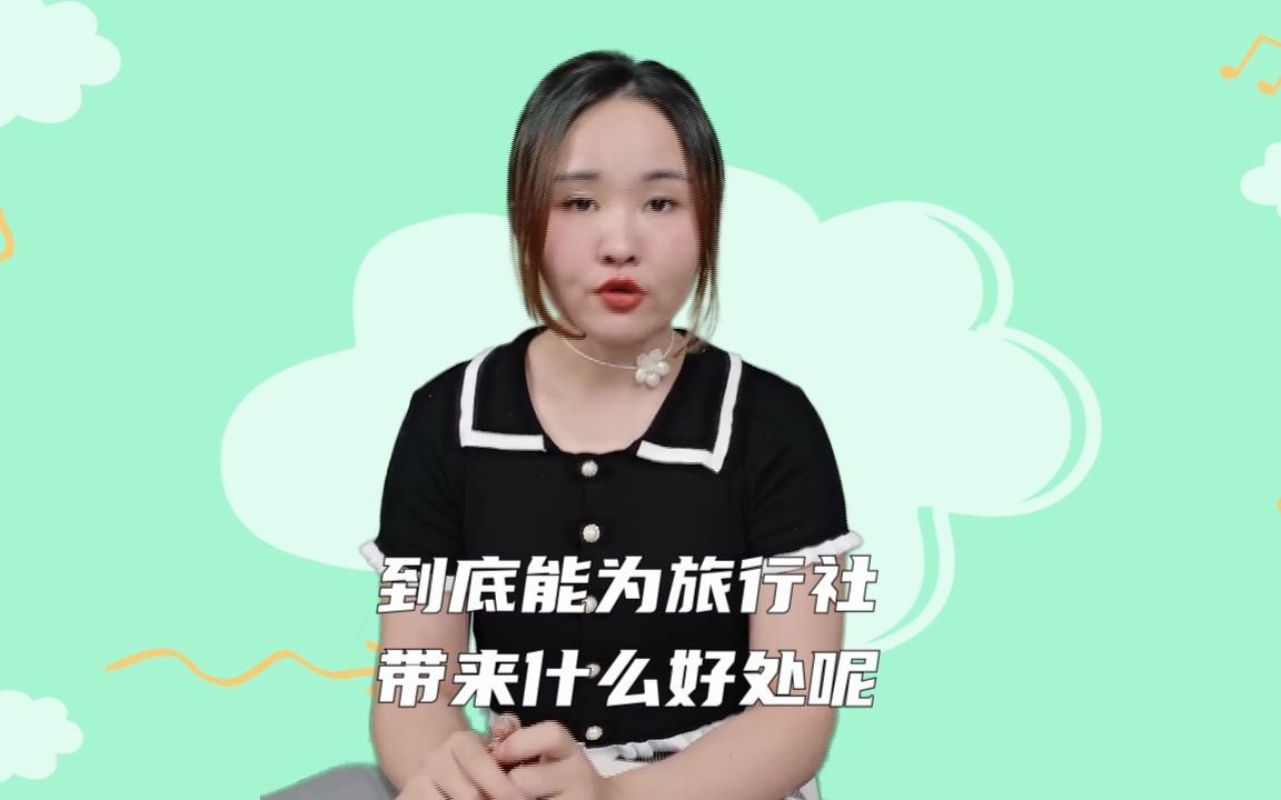 旅行社管理系统能带来什么好处?哔哩哔哩bilibili