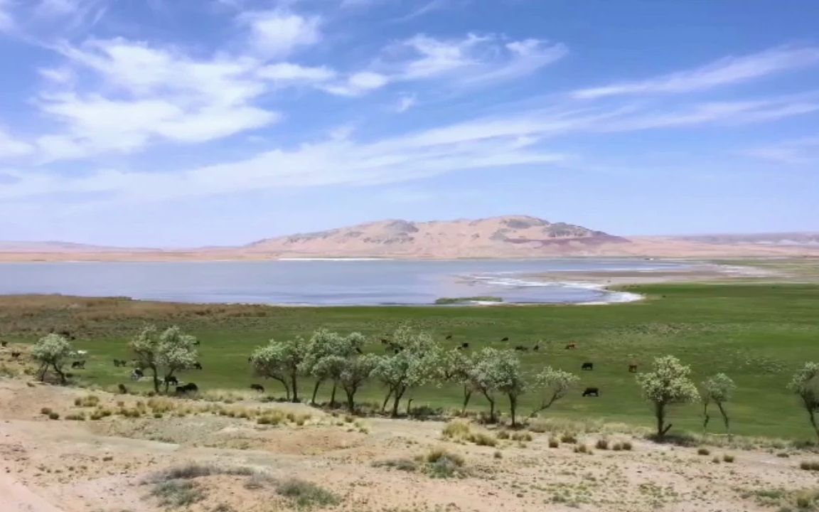 [图]【空境】空箱子，背影，沙漠镇子，海鸥大海海边