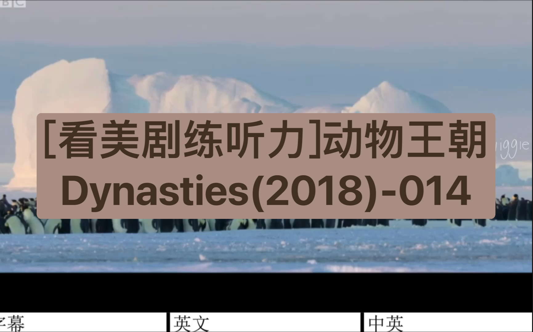 [图][看美剧练听力]动物王朝Dynasties(2018)-014