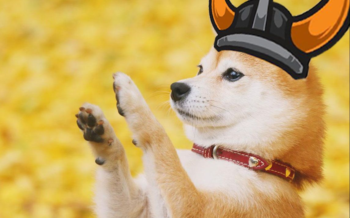 new doge is 金狗floki inu