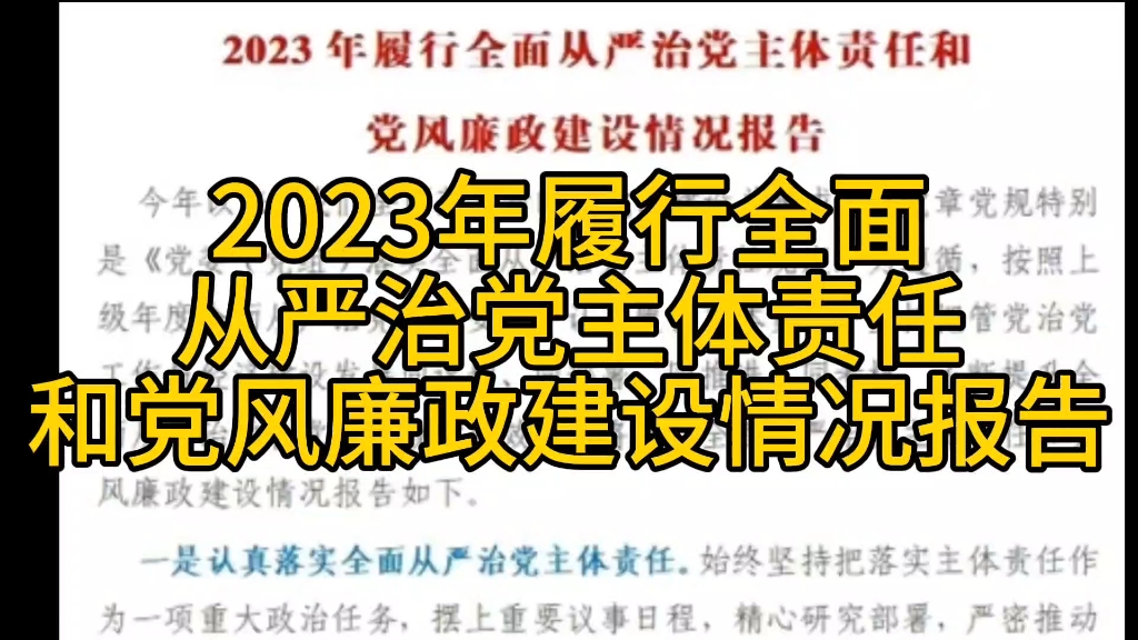 2023年履行全面从严治党主体责任和党风廉政建设情况报告哔哩哔哩bilibili