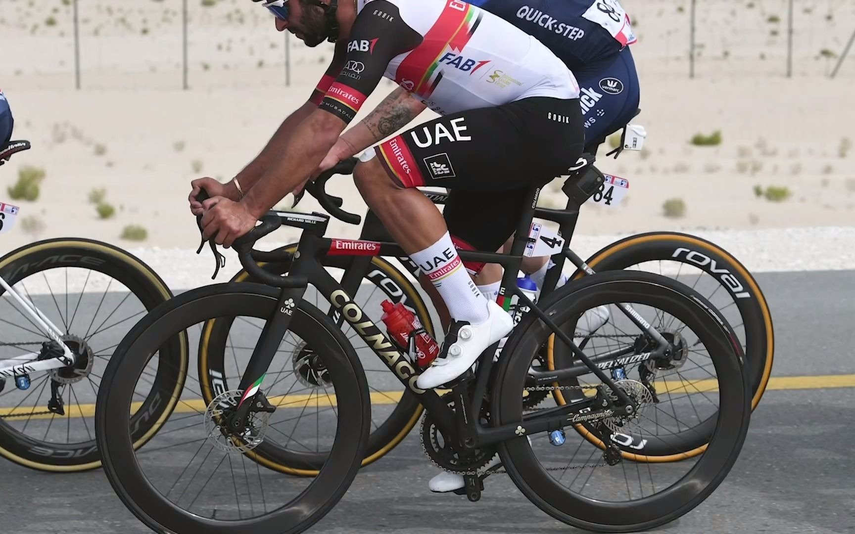 波加查同款colnago梅花v3rs欣赏