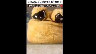 Video herunterladen: 当你苦练ow想证明你并不属于黄金belike: