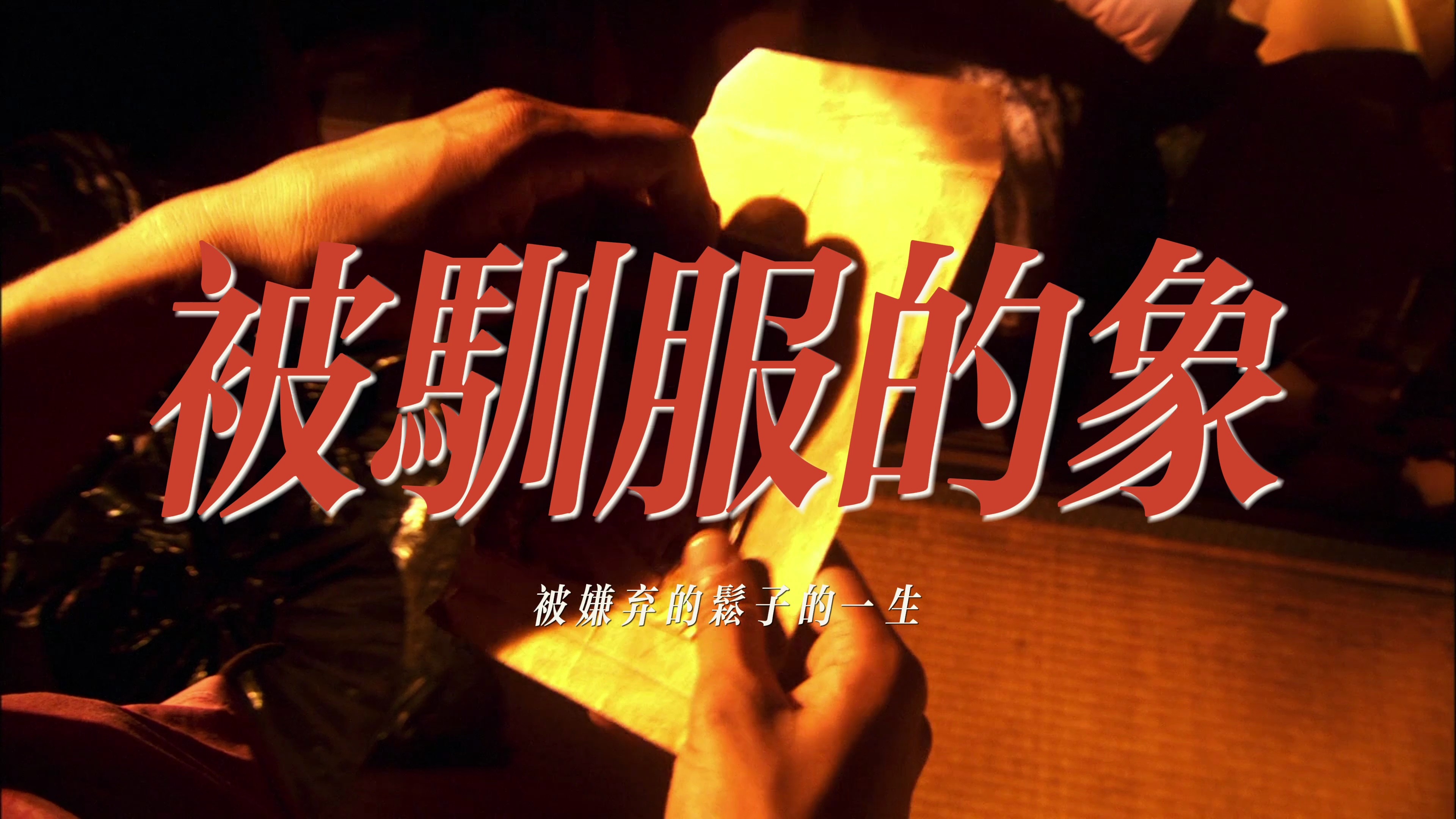 被驯服的象｜被嫌弃的松子的一生