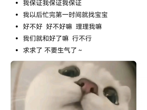 宝宝我错啦~理理我好不好哔哩哔哩bilibili