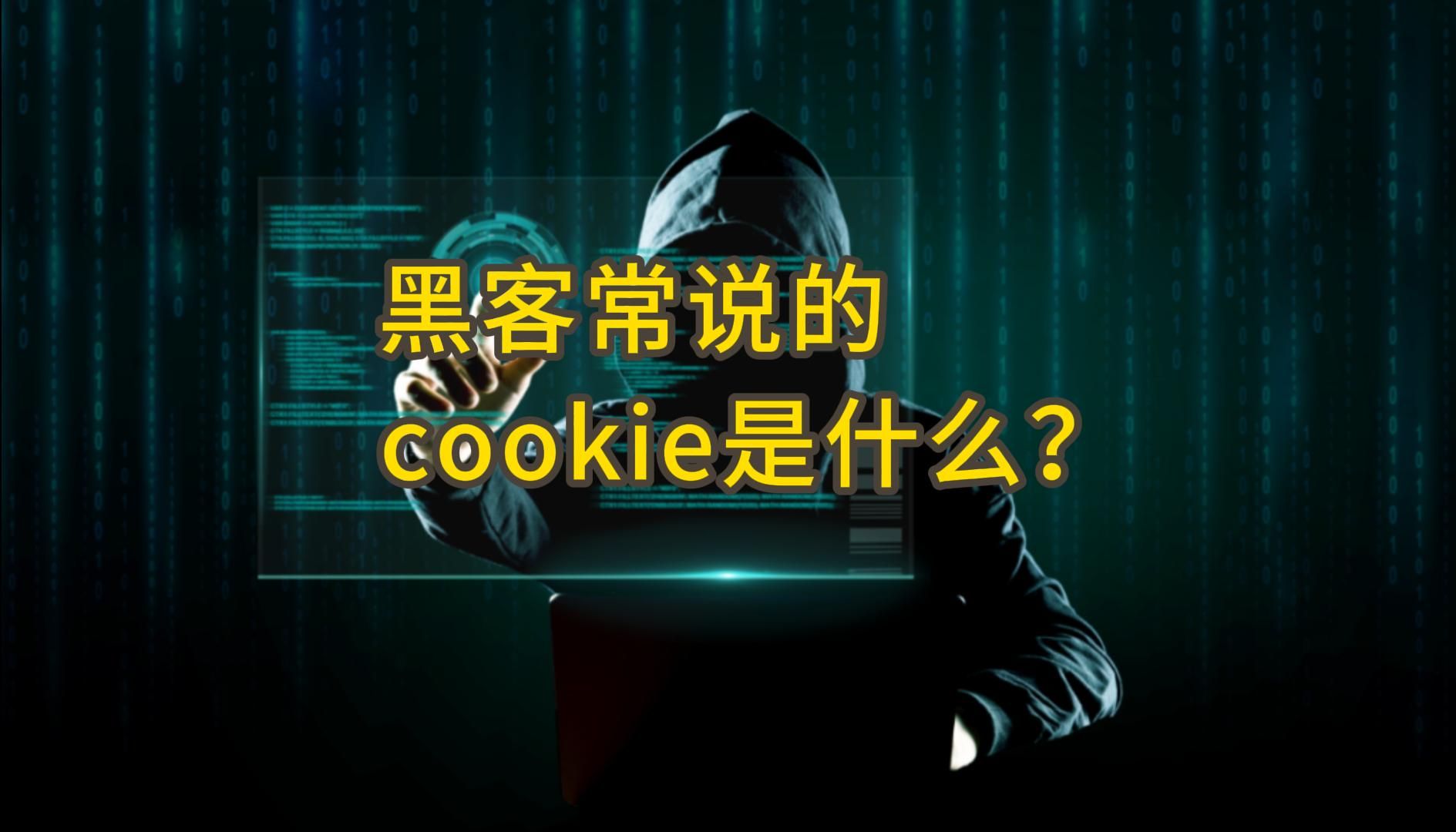 黑客常说的Cookie是什么?哔哩哔哩bilibili