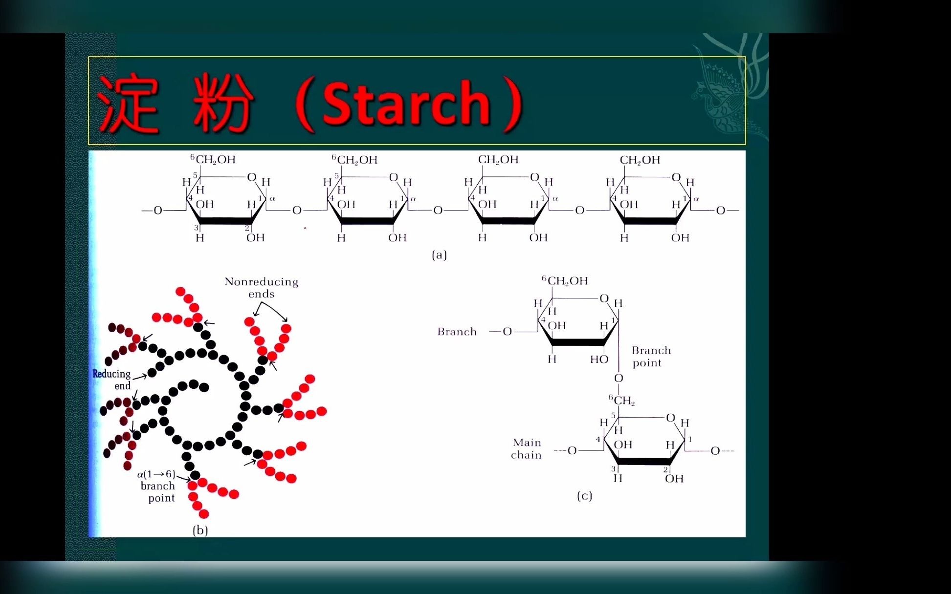 【生物与医药】之生物化学知识点讲解淀粉哔哩哔哩bilibili