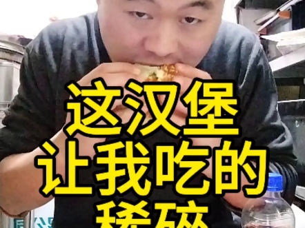 为什么用手直接抓着吃,就会感觉特别想呢!你们也这样么?#同城精选#长春#长春绿园哪家汉堡最好吃#长春汉堡攻略#长春市第八十七中学哔哩哔哩bilibili