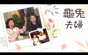 Download Video: 【News Treasury】龜兔夫婦【粤语中字】