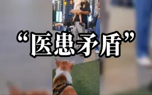 Download Video: 狗狗认出做绝育医生后焦躁大叫：求狗子的心理阴影面积