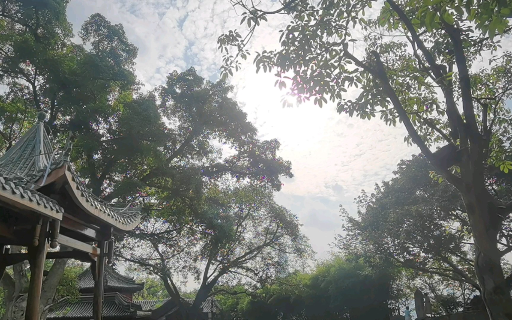 峨岭公园:四季风情,尽收眼底