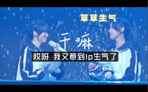 Download Video: 【奉天承芸】芸姐又逗小草了