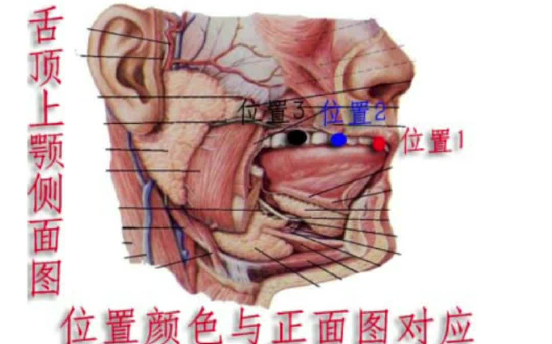 真气运行法精粹篇哔哩哔哩bilibili