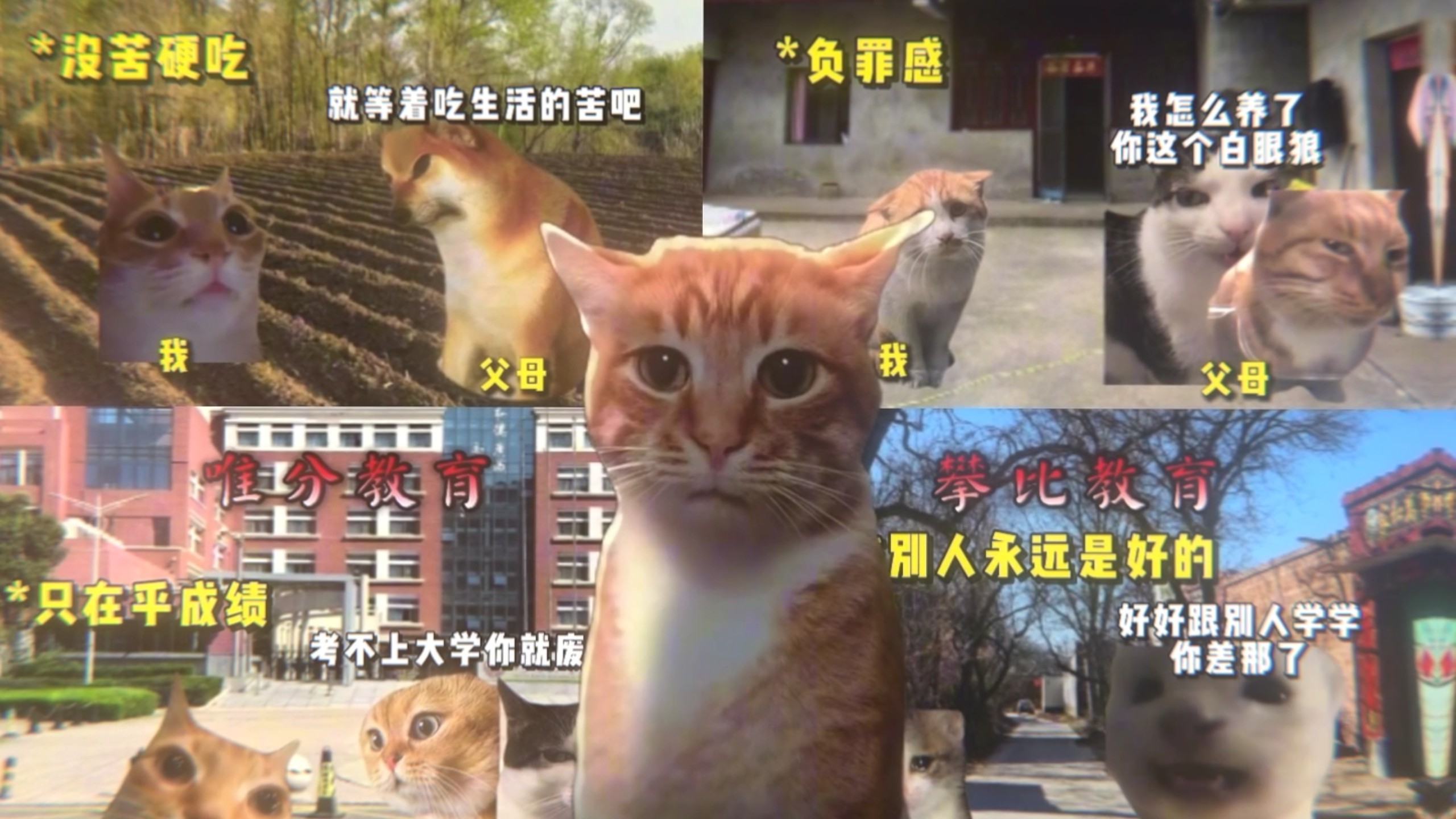 “自卑贯穿了整个童年，我用一生去学会如何自信”