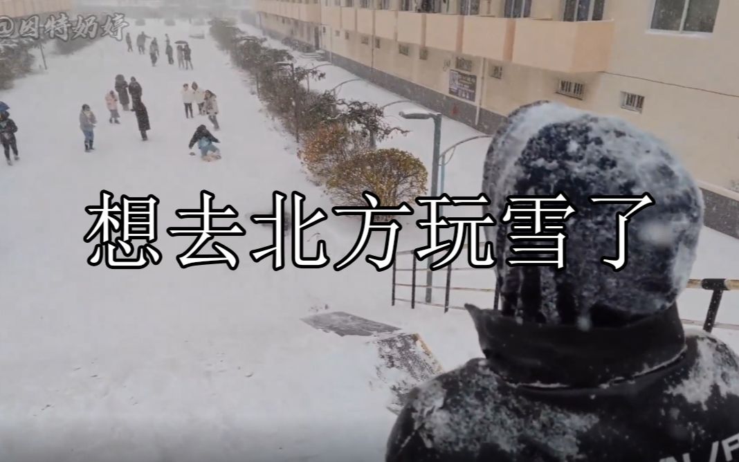 [图]想去北方玩雪了：下雪就得这样玩