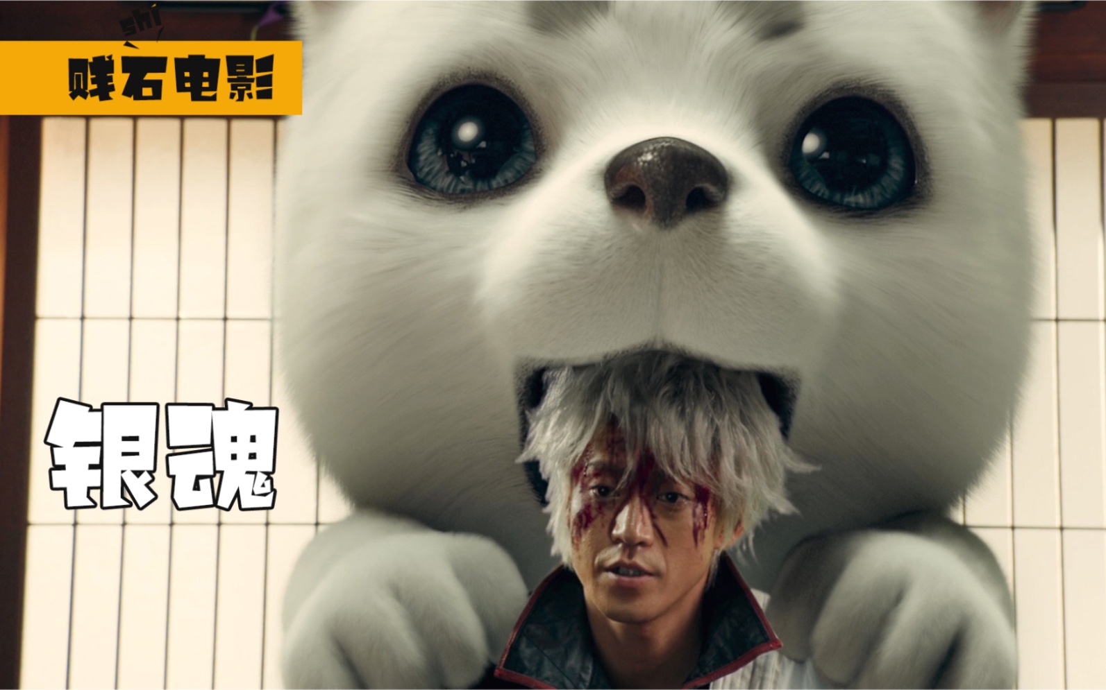 银魂:银时实惨,逃不过被定春咬,被红樱打死_哔哩哔哩_bilibili